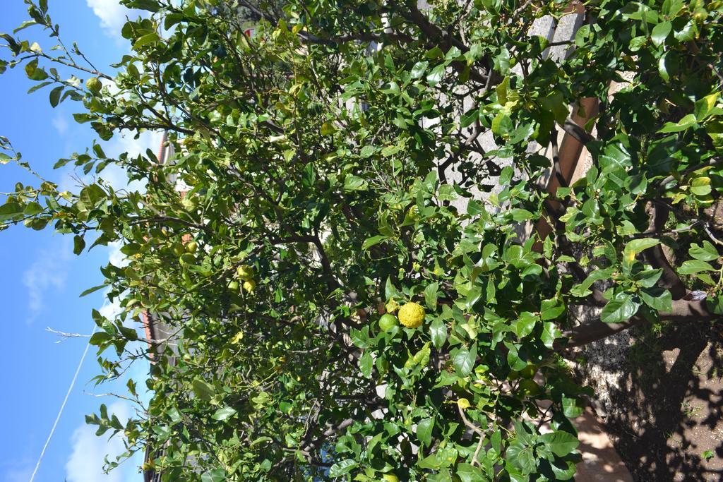 Casa Vacanze Mura Cala Gonone Dış mekan fotoğraf
