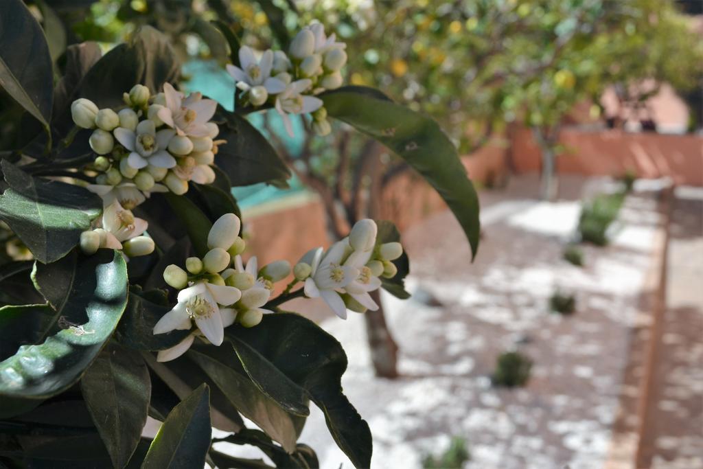 Casa Vacanze Mura Cala Gonone Dış mekan fotoğraf
